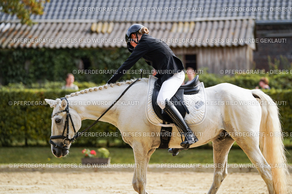 DSC04724 | Pferdegrafie