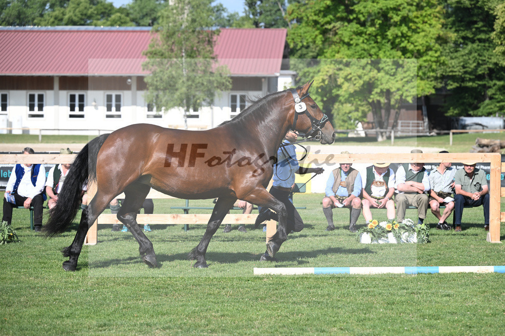 Kat-Nr. 3 Rosalie_Schaffner_20230038 | hf-fotografie - Realisiert mit Pictrs.com