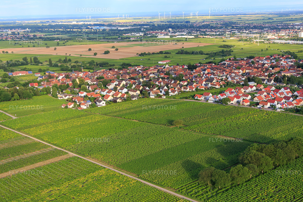 Luftbild: Kirchhol im Ortsteil Nußdorf in Landau im Bundesland Rheinland-Pfalz in Deutschland. Foto: IMG_090167.jpg vom 26.06.2016 durch Werner Riehm/FLY-FOTO.de