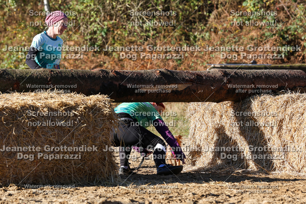 Dog Paparazzi - Strongdog 10-25-1816 | Dog Paparazzi Jeanette Grottendiek Fotografie & Videografie - Realisiert mit Pictrs.com