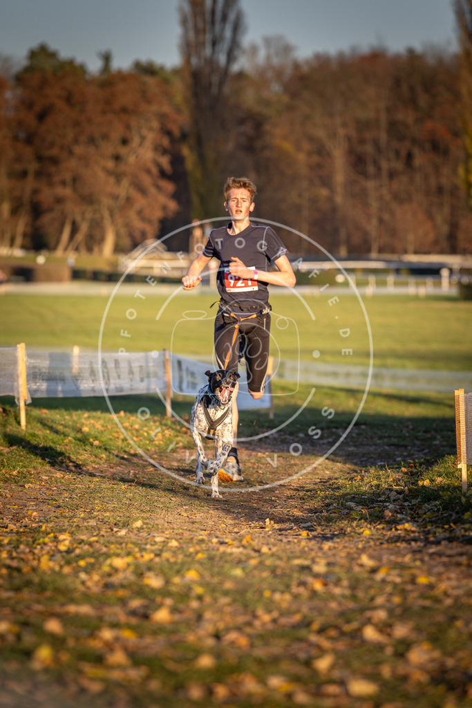 CaniXpix_DV3A4933 | Hundefotografie, Tierfotograf, Pfotenfotografie, Fotoshooting Hund, Hunde Portrait, Hundesport, Hundeportraits, Heideshooting, Hunde, Sportfotograf, Hundefotograf, Turnierhundsport, THS,  - Realisiert mit Pictrs.com