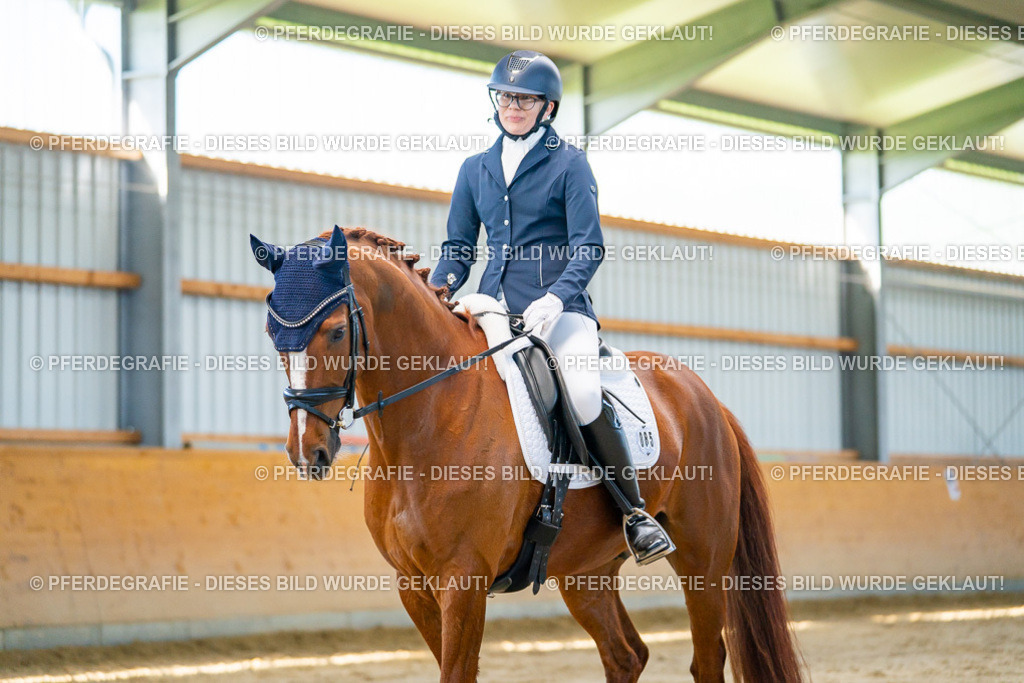 DSC06565 | Pferdegrafie