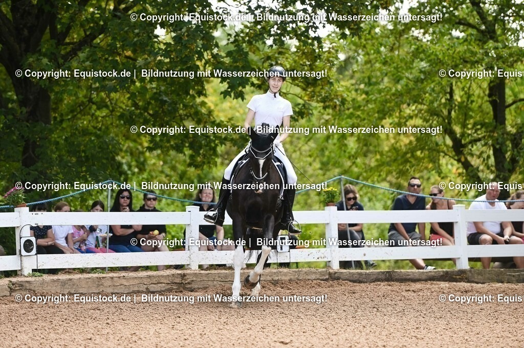 20230716_03_Dressurprfg. Kl.L - Tr._0025 | equistock
