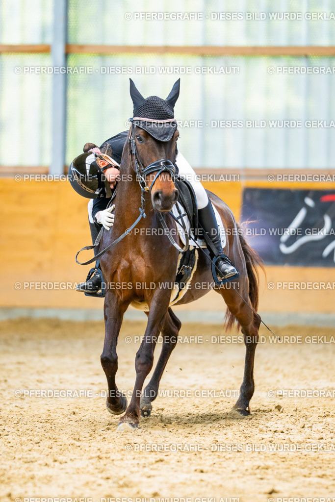 DSC07347 | Pferdegrafie