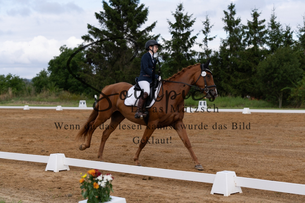 A7V03807 | Turnier/Reitfotograf