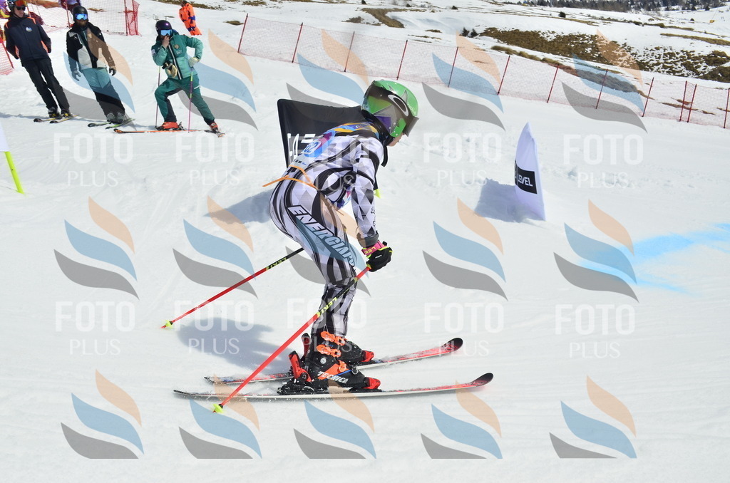 _ELE1946 | holidayphoto