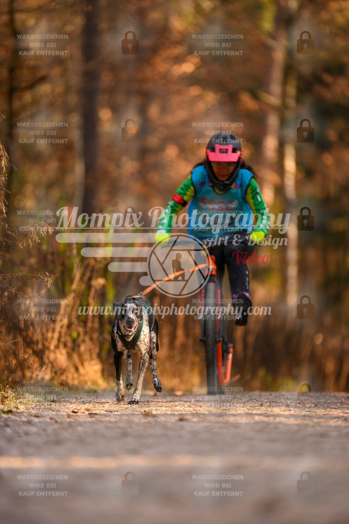 MompixPhotography_DM_AKDM_SO_2025_Scooter-199 | PayLife