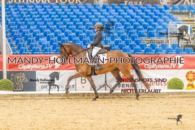 28-8-26 5j DRE-702 | mandyhollmannphotographie