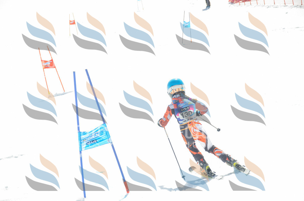 _ELE6114 | holidayphoto