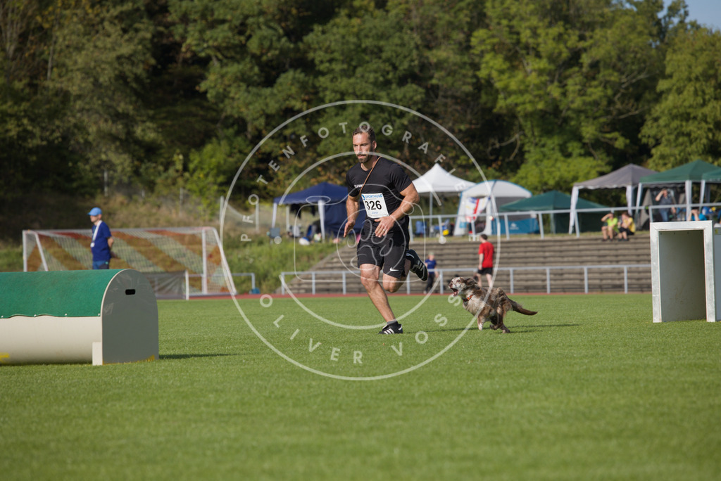 0L8A3903 | Hundefotografie, Tierfotograf, Pfotenfotografie, Fotoshooting Hund, Hunde Portrait, Hundesport, Hundeportraits, Heideshooting, Hunde, Sportfotograf, Hundefotograf, Turnierhundsport, THS,  - Realisiert mit Pictrs.com