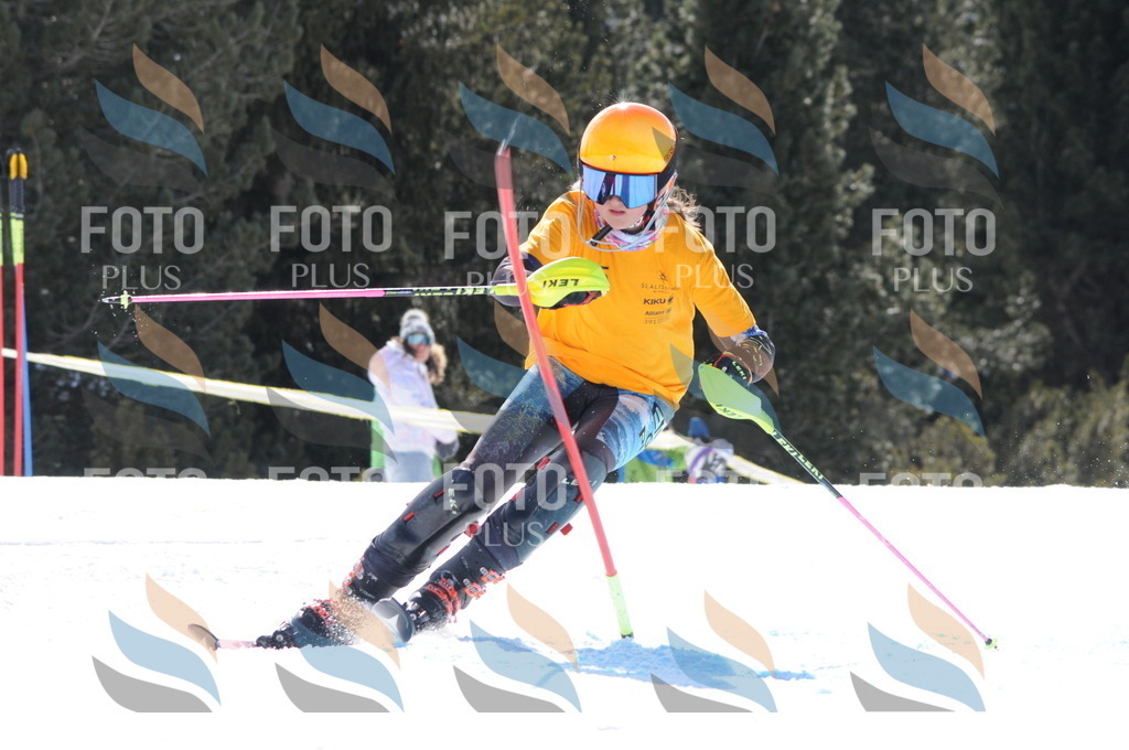 C9202 | holidayphoto