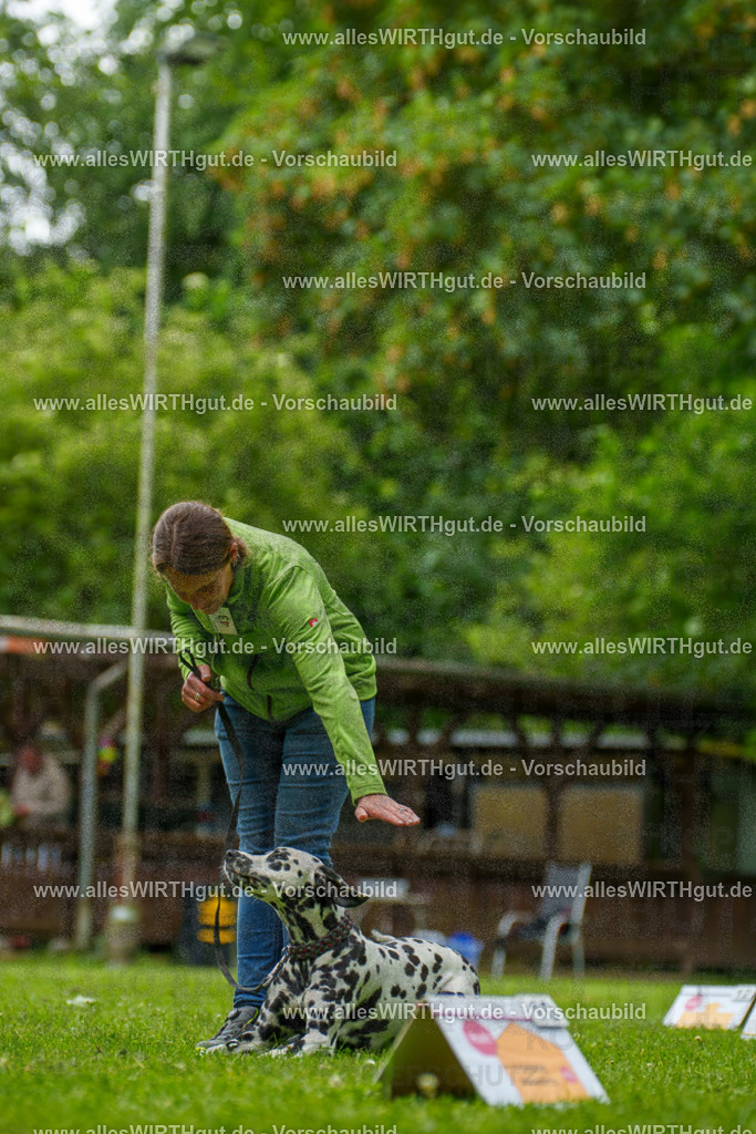 @allesWIRTHgut_Tierfotografie - www.allesWIRTHgut.de - 135254-7R500131 | Professionelle Tierfotografie in Mönchengladbach von Daniel Wirth (allesWIRTHgut). Liebevolle & natürliche Bilder von Hunden & Katzen für unvergessliche Erinnerungen.
