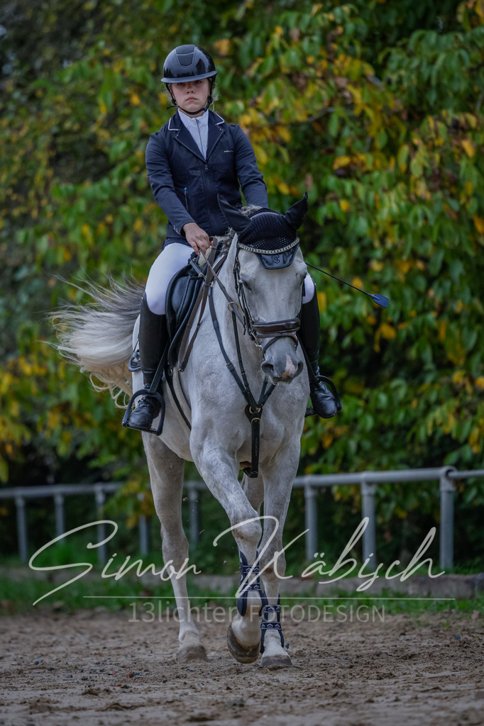 20251012-_3LI2640 | Tierfotografie Pferde, Hunde, Katzen, Haustiere.
Turnierfotografie Reitturniere, Reiten, Springreiten, Dressur in Hanau, dem Main-Kinzig-Kreis und dem Rhein-Main- Gebiet um Frankfurt