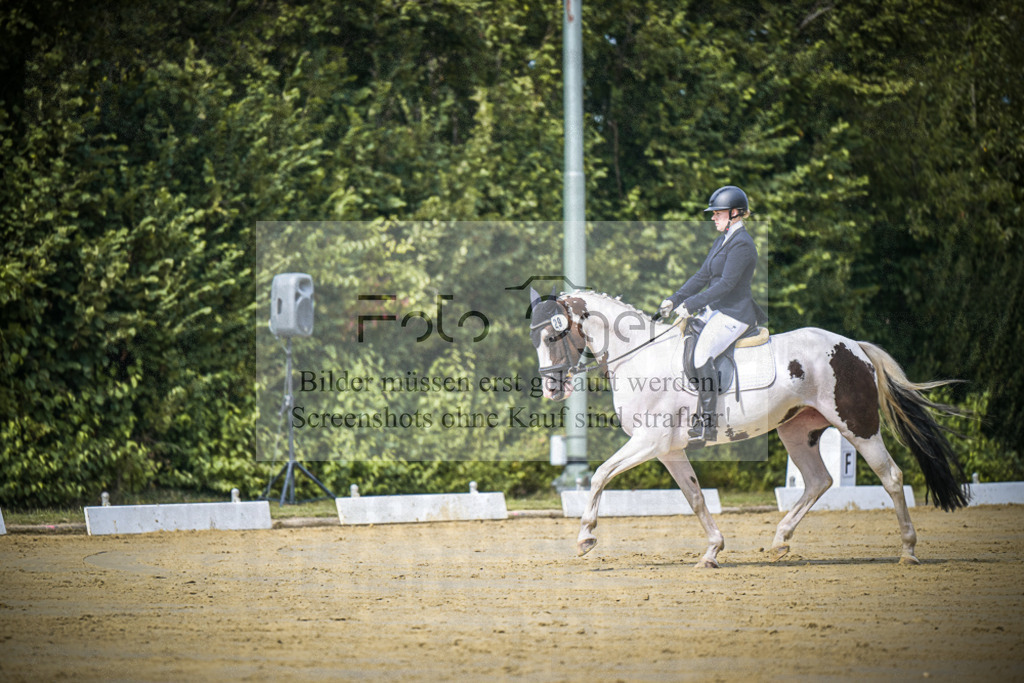 DOS_4957 | Entdecke hochwertige Reitturnierfotos von Foto Oger. Professionell, emotional und authentisch – jetzt Lieblingsmomente im Shop bestellen.Deutschlandweite Turnierfotografie. - Realisiert mit Pictrs.com