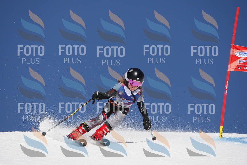 _W1G1907 | holidayphoto