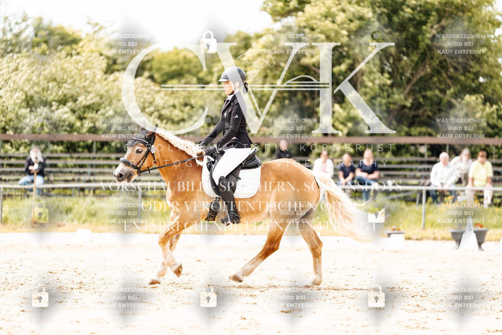 CK902234 | Turnierfotografie Pferdefotografie Trier Rheinland-Pfalz Pferdesport Reitsport Tierfotografie Sportfotografie Pferdevideo Pferdevideografie Equestrianvideography equestrianphotography  - Realisiert mit Pictrs.com