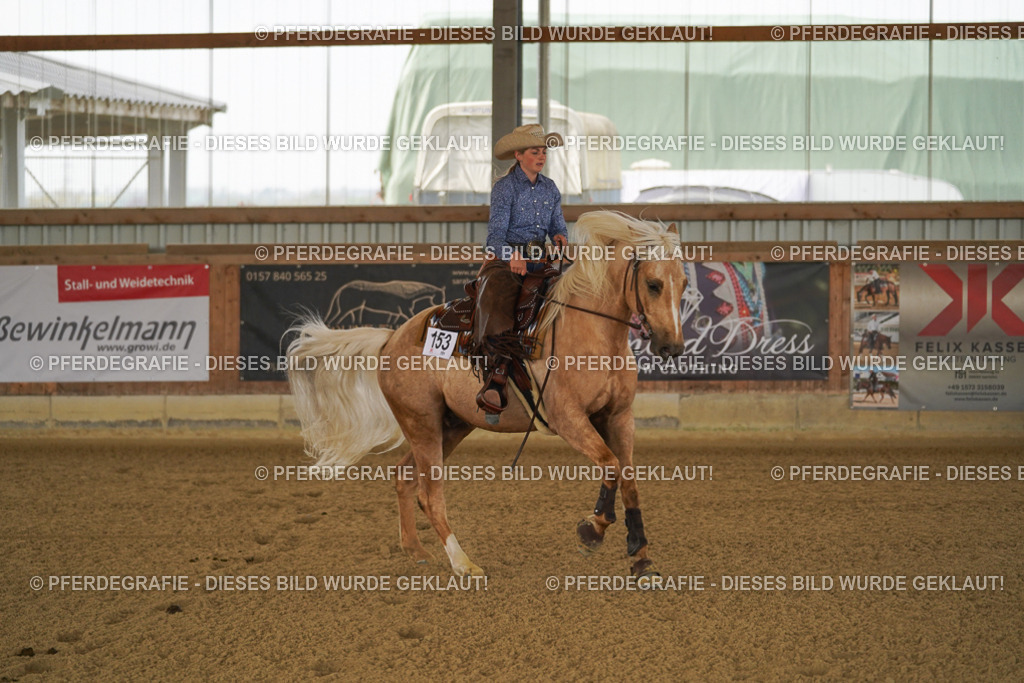 DSC06686 | Pferdegrafie