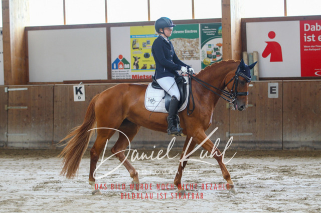 DKP44609 | Turniersportfotografie; Pferdefotografie; Dressurfotografie