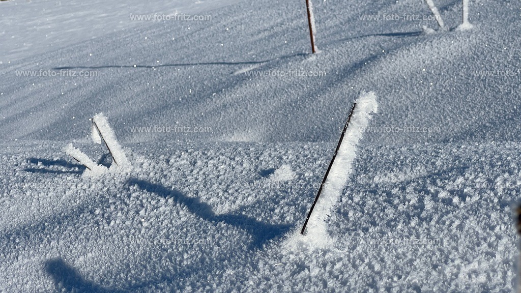 IMG_E6751 | www.foto-fritz.com - Realisiert mit Pictrs.com