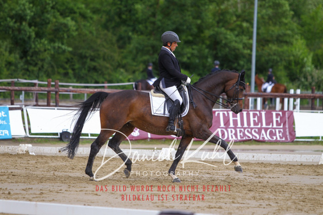 DKP40793 | Turniersportfotografie; Pferdefotografie; Dressurfotografie