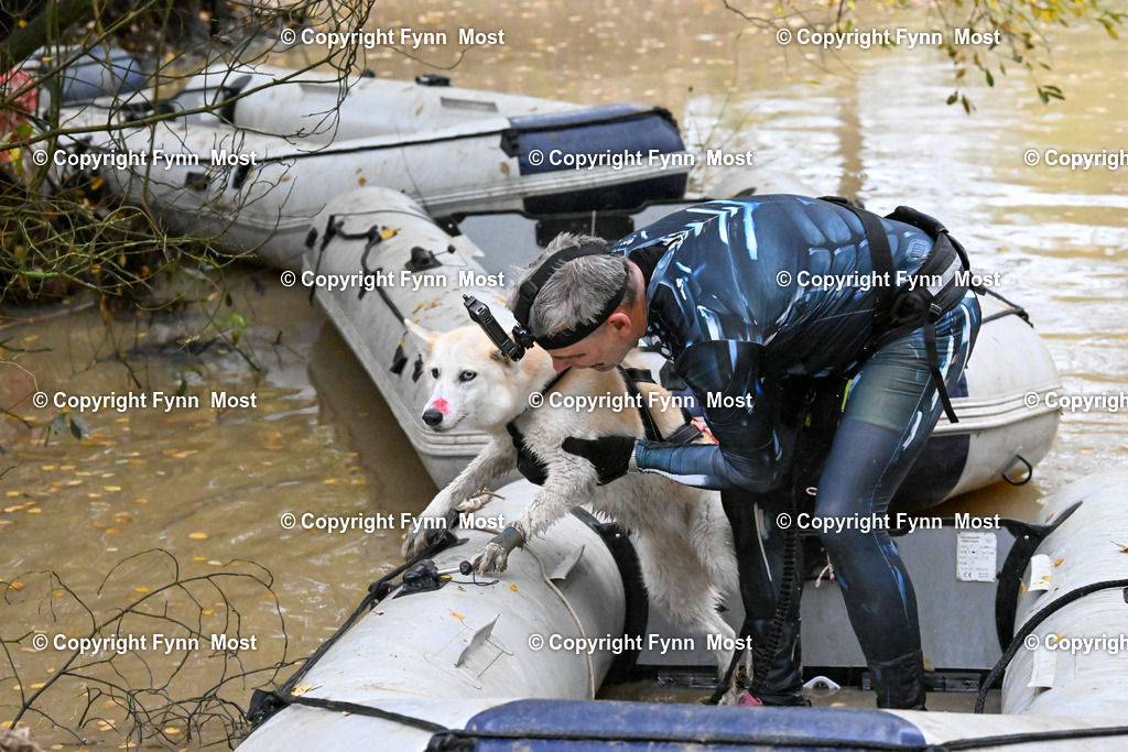 DSC_6823 | Hallo und herzlich Willkommen auf meiner Shop-Seite Fynn Most.

Ich wünsche Dir viel Spaß beim stöbern durch die Bilder, wenn Du Fragen hast oder Bilder vermisst, kannst du mir gerne eine Nachricht schreiben. - Realisiert mit Pictrs.com