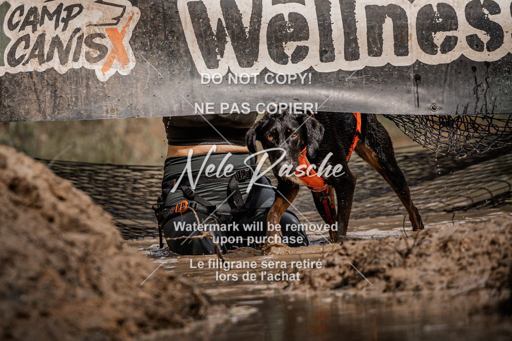 nelerasche_Hoope2026_Sa1200-1230_79 | nelerasche