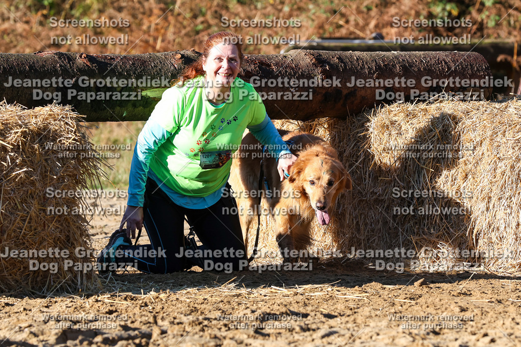 Dog Paparazzi - Strongdog 10-25-1517 | Dog Paparazzi Jeanette Grottendiek Fotografie & Videografie - Realisiert mit Pictrs.com