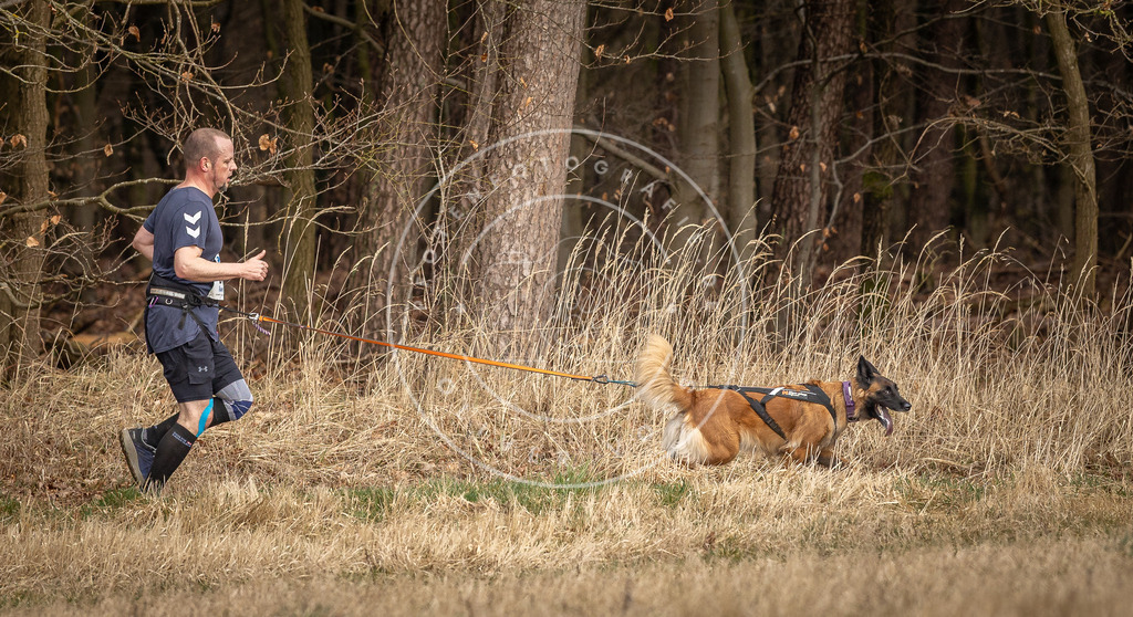 DV3A4182 | Hundefotografie, Tierfotograf, Pfotenfotografie, Fotoshooting Hund, Hunde Portrait, Hundesport, Hundeportraits, Heideshooting, Hunde, Sportfotograf, Hundefotograf, Turnierhundsport, THS,  - Realisiert mit Pictrs.com