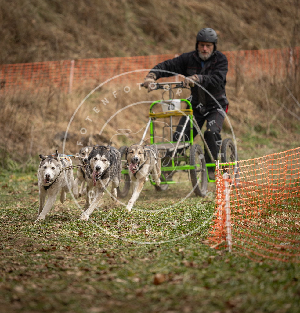 Pfotenfotografie_DV3A8356 | Hundefotografie, Tierfotograf, Pfotenfotografie, Fotoshooting Hund, Hunde Portrait, Hundesport, Hundeportraits, Heideshooting, Hunde, Sportfotograf, Hundefotograf, Turnierhundsport, THS,  - Realisiert mit Pictrs.com