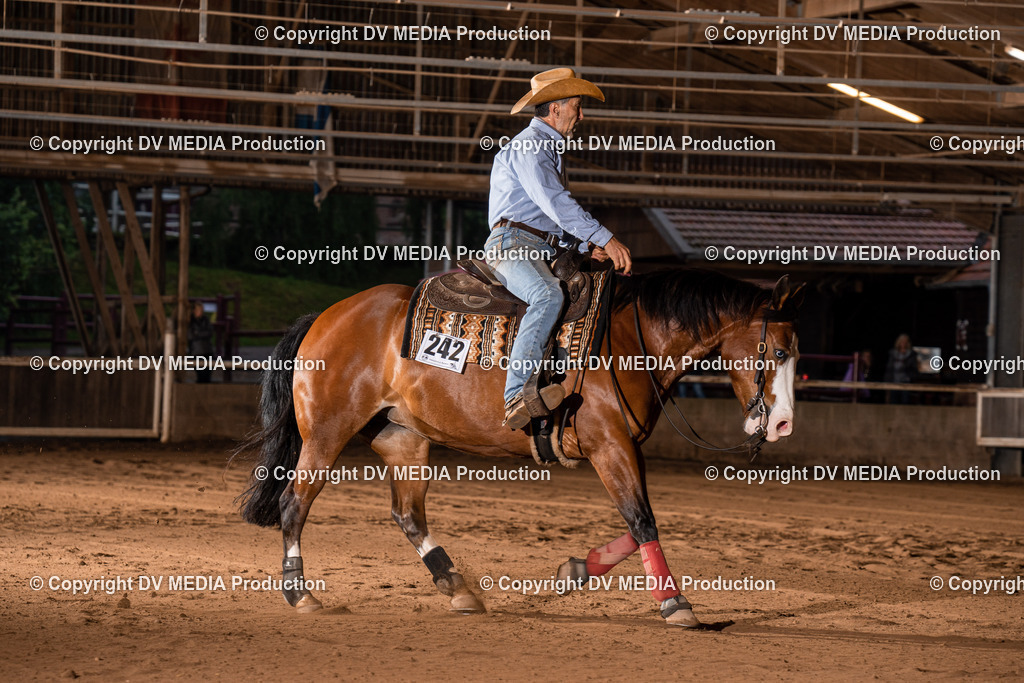 Erbach Tag 2-1074 | dv-media-shop - Realisiert mit Pictrs.com