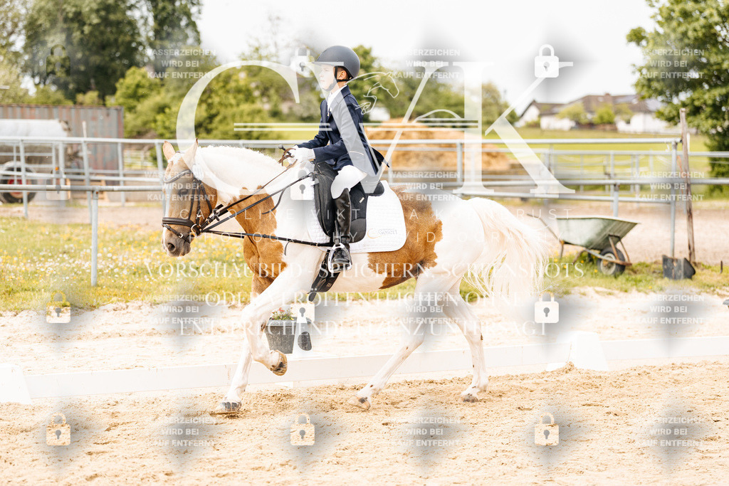 CK904630 | Turnierfotografie Pferdefotografie Trier Rheinland-Pfalz Pferdesport Reitsport Tierfotografie Sportfotografie Pferdevideo Pferdevideografie Equestrianvideography equestrianphotography  - Realisiert mit Pictrs.com