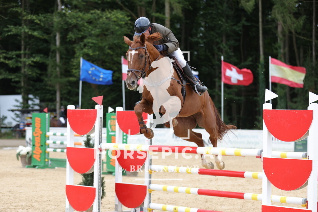 0P6A8488 | Willkommen bei Brunnmayr - Design & Fotografie – Ihrem Spezialisten für Reitturniere und Pferdeveranstaltungen in Oberösterreich, Salzburg und Bayern! Seit über 17 Jahren sind wir leidenschaftlich dabei.
