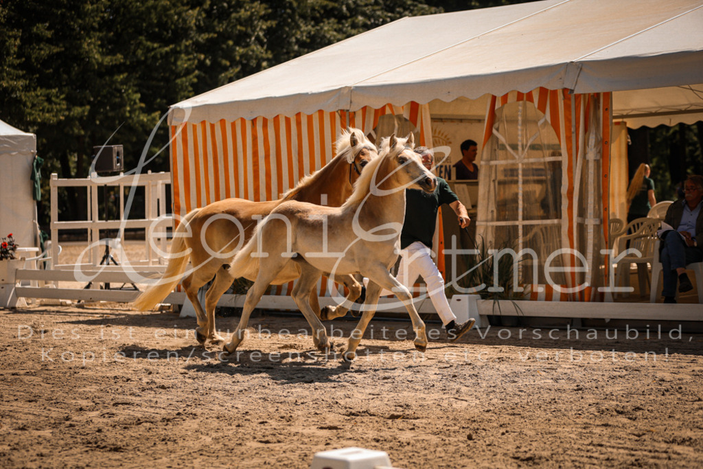 06.DoH00054 | Leoni Ertmer Photography - Realisiert mit Pictrs.com