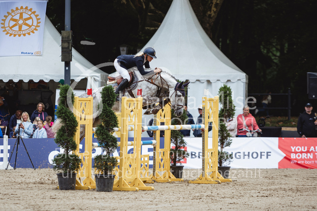 240915_OWLCh_Youngster6y-510 | Deine schönsten Turniermomente als professionelle Fotos! Entdecke hochwertige Pferdesport-Fotografie im Online-Shop. Jetzt Fotos finden & bestellen!