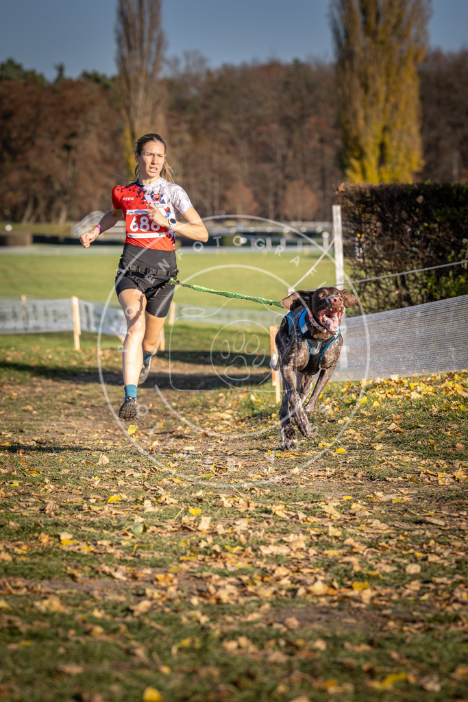 CaniXpix_DV3A1188 | Hundefotografie, Tierfotograf, Pfotenfotografie, Fotoshooting Hund, Hunde Portrait, Hundesport, Hundeportraits, Heideshooting, Hunde, Sportfotograf, Hundefotograf, Turnierhundsport, THS,  - Realisiert mit Pictrs.com