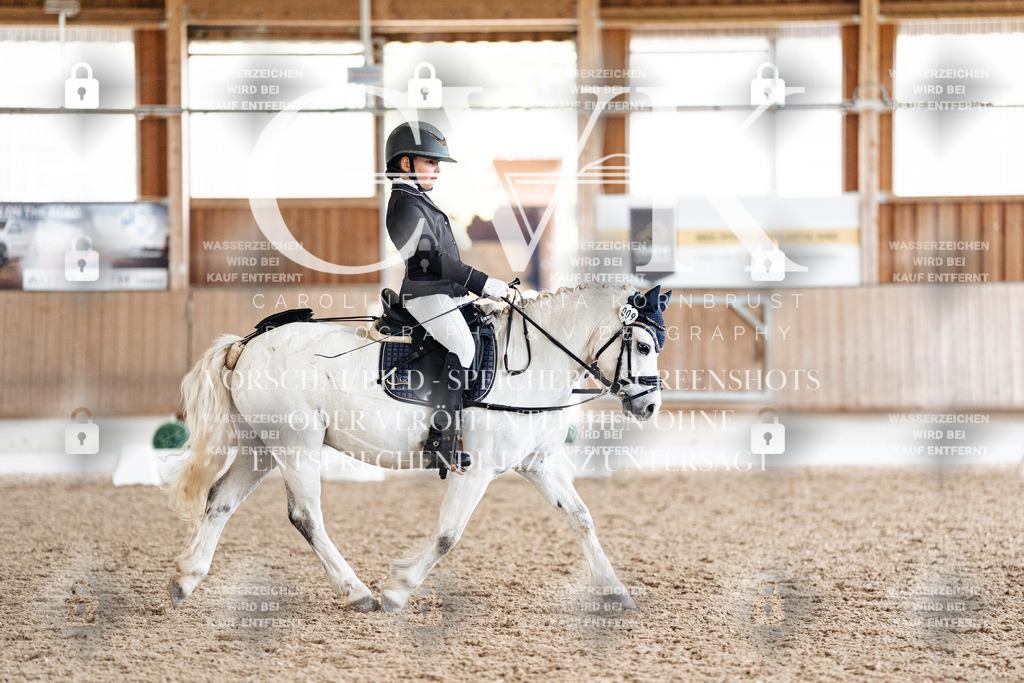 CK900929 | Turnierfotografie Pferdefotografie Trier Rheinland-Pfalz Pferdesport Reitsport Tierfotografie Sportfotografie Pferdevideo Pferdevideografie Equestrianvideography equestrianphotography  - Realized with Pictrs.com