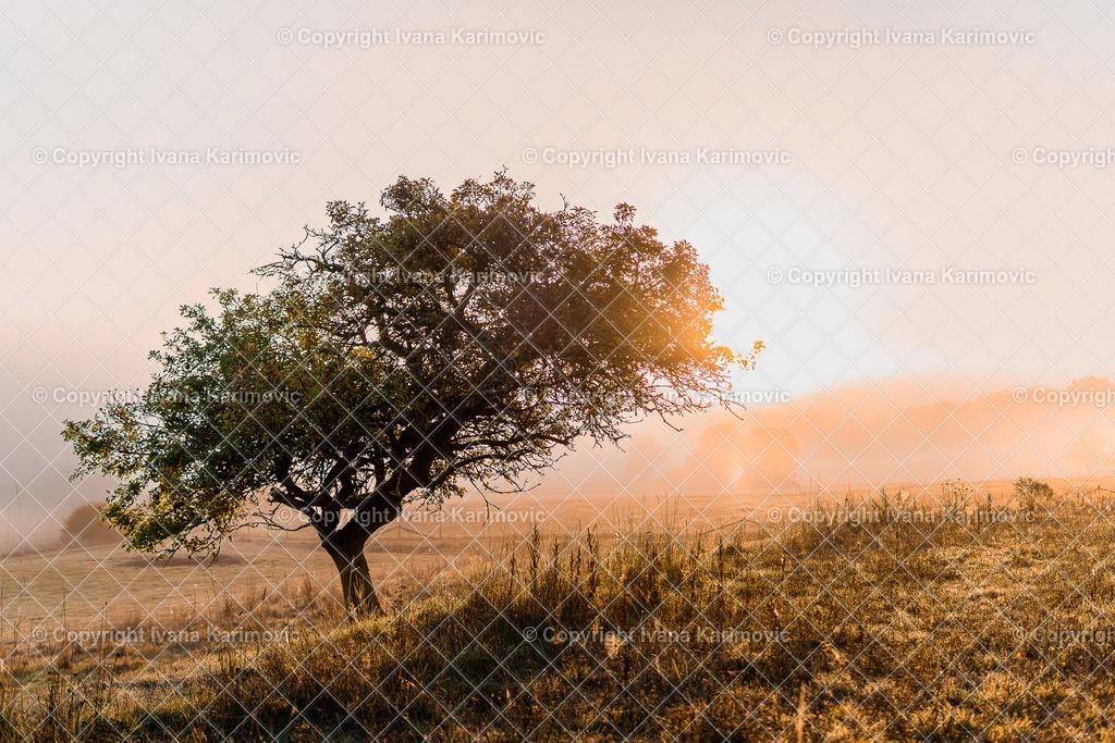 Treisbach  | ikphotography - Realisiert mit Pictrs.com