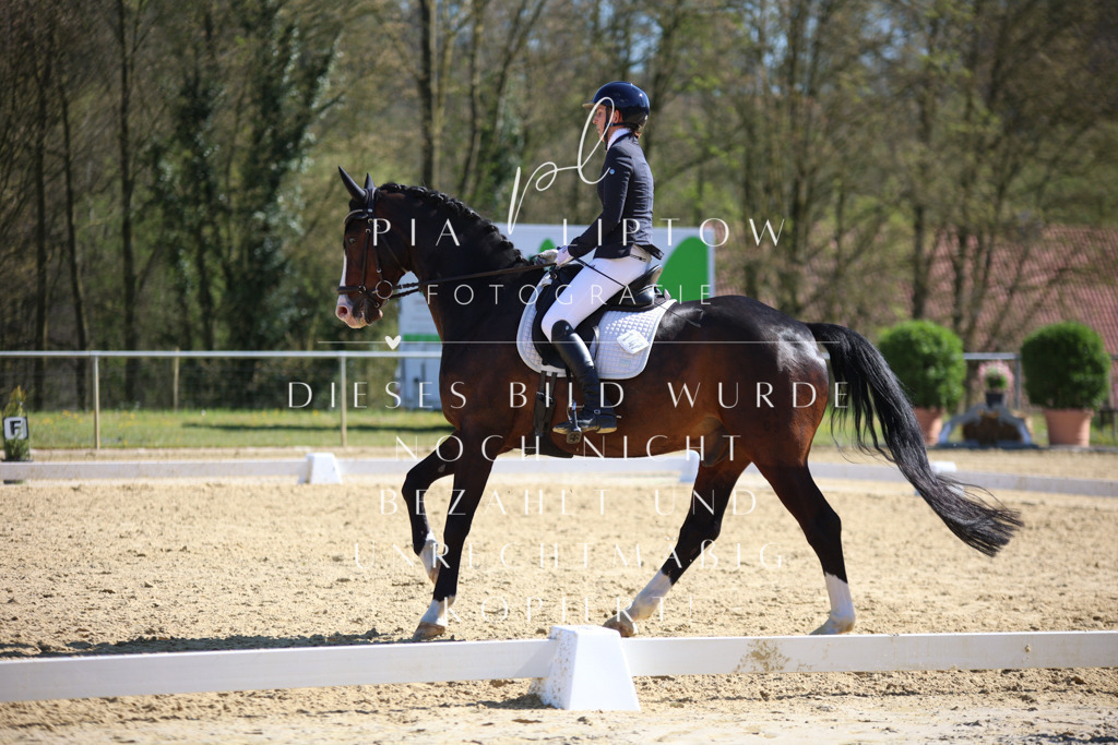 IMGT8463 | pl-fotografie