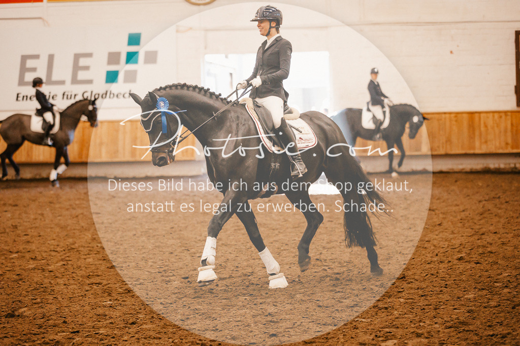 3I6A2147 | Stimmungsvolle Portraits und Reitsportfotografie im Ruhrgebiet und im Münsterland.

Pferdefotografie, Hundefotografie, Tierfotografie, Reportagen, Portraits von Tier und Mensch, Turnierfotografie in Bochum, Recklinghausen, Marl, Haltern am See, Dülmen.. - Realisiert mit Pictrs.com