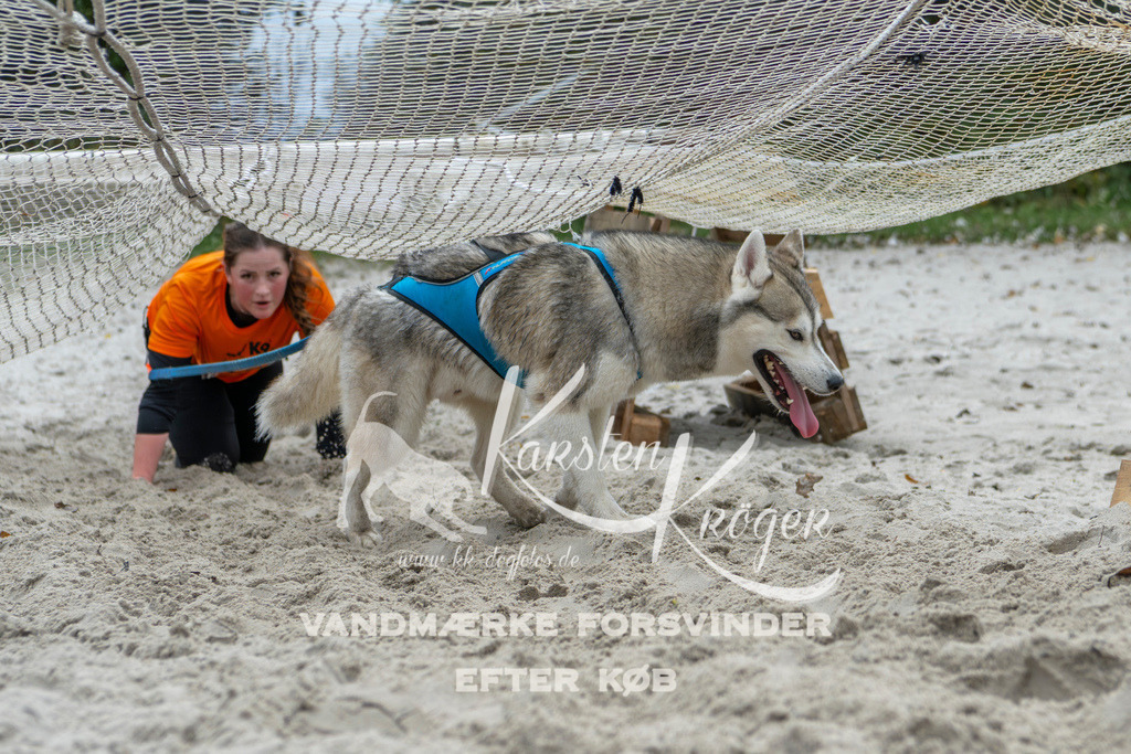 1050_ZZ95001 | kk-dogfotos