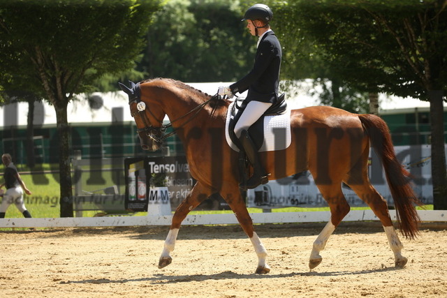 Aulendorf_2022_Dressur_Kl.M_Kieran Untermann_Boston Dream (5) | Alle Fotos der Reiterjournal Fotografin Doris Matthaes im Reiterjournal Online-Fotoshop. - Realisiert mit Pictrs.com