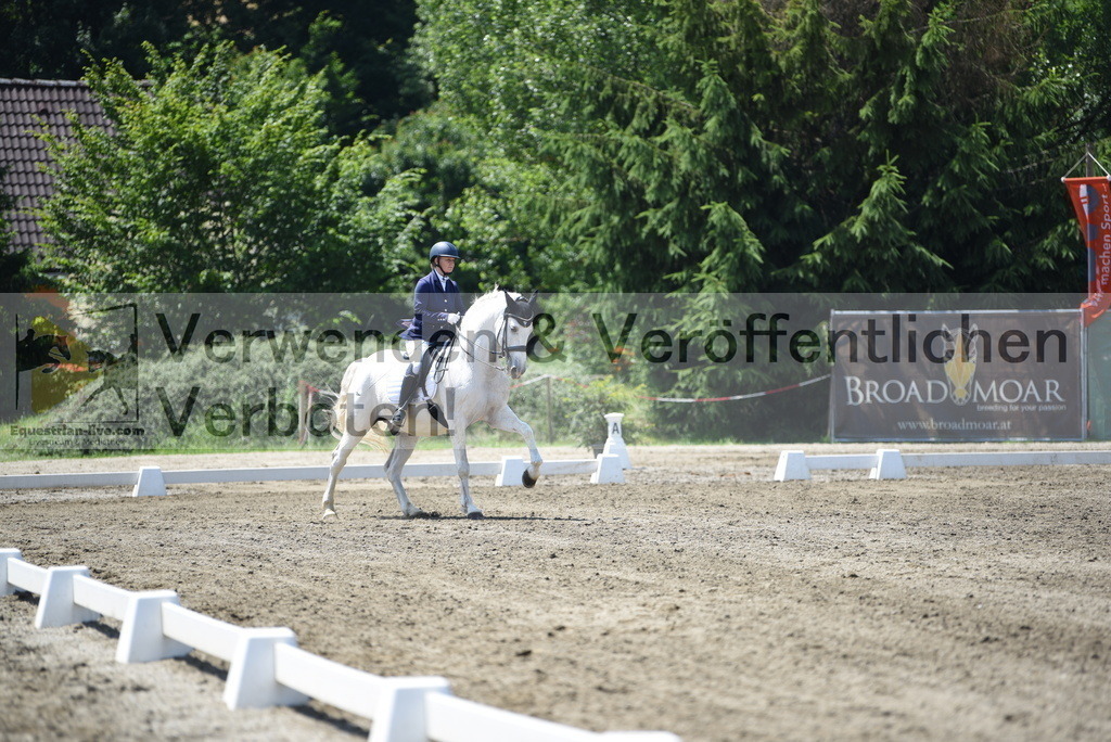 DSC_0294 | equestrian-live-com