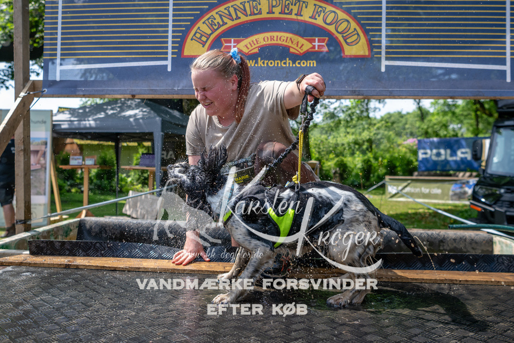 1200_ZZ90134 | kk-dogfotos