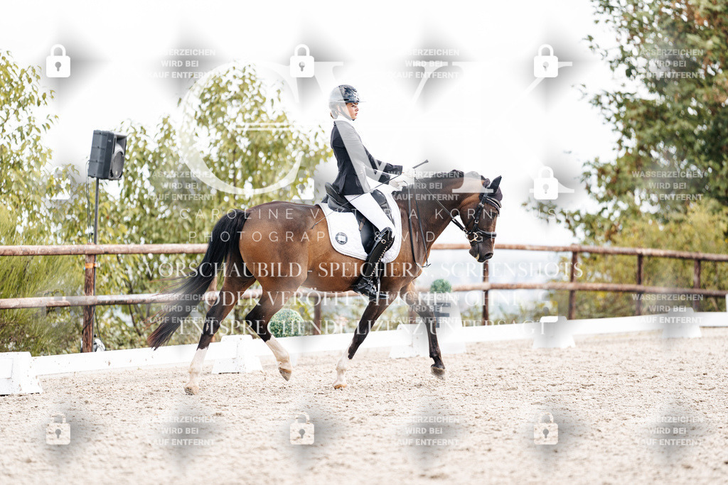 CK901614 | Turnierfotografie Pferdefotografie Trier Rheinland-Pfalz Pferdesport Reitsport Tierfotografie Sportfotografie Pferdevideo Pferdevideografie Equestrianvideography equestrianphotography  - Realisiert mit Pictrs.com