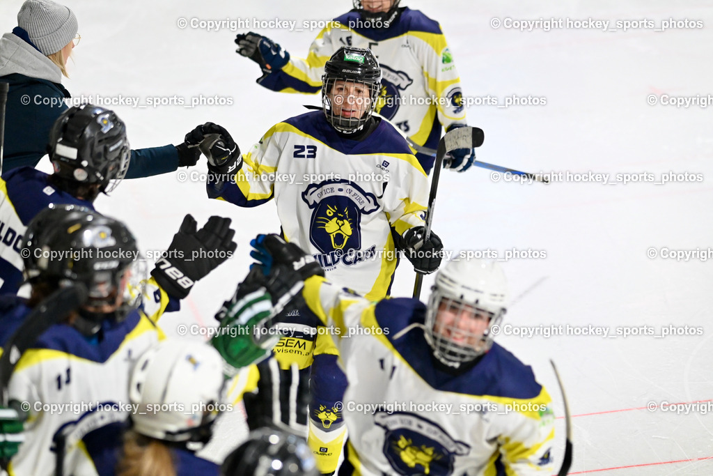 LADY HAWKS vs. WILDCATS PATERNION | #23 Stuppnig Iris WILDCATS PATERNION, LADY HAWKS vs. WILDCATS PATERNION, LADY HAWKS vs. WILDCATS PATERNION am 12.03.2025 in Steindorf (Ossiachersee Halle), Austria, (Photo by Bernd Stefan)