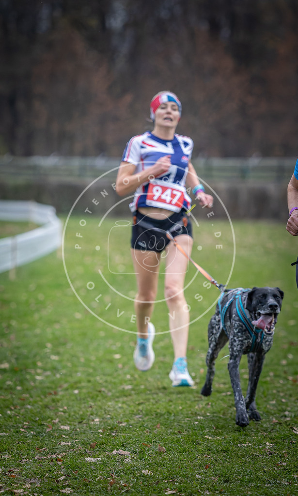 CaniXpix_DV3A7294 | Hundefotografie, Tierfotograf, Pfotenfotografie, Fotoshooting Hund, Hunde Portrait, Hundesport, Hundeportraits, Heideshooting, Hunde, Sportfotograf, Hundefotograf, Turnierhundsport, THS,  - Realisiert mit Pictrs.com