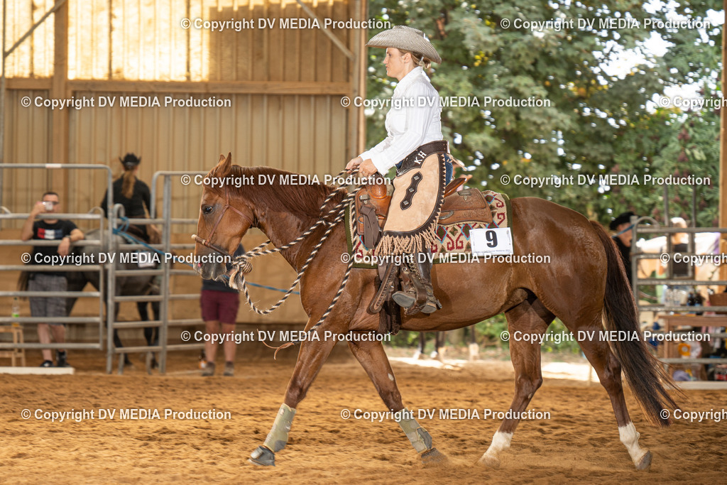 NID01553 | dv-media-shop - Realisiert mit Pictrs.com