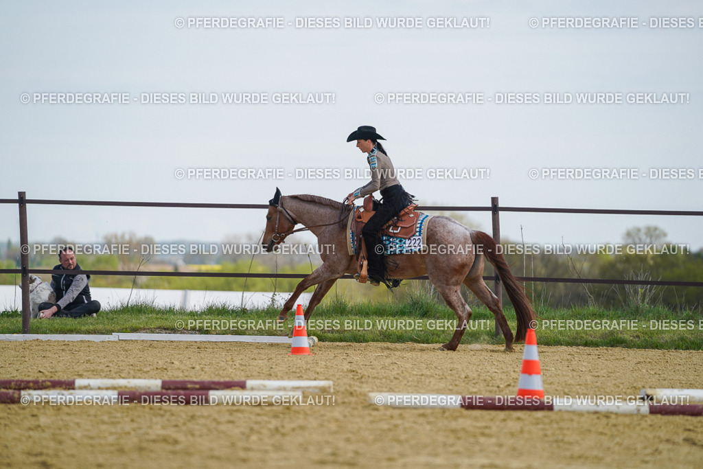 DSC04915 | Pferdegrafie