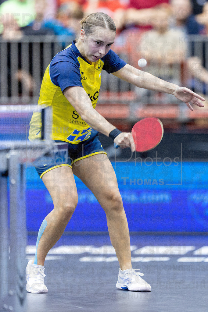 European_Championships_2024-10-19_037 | good-photos - Realisiert mit Pictrs.com