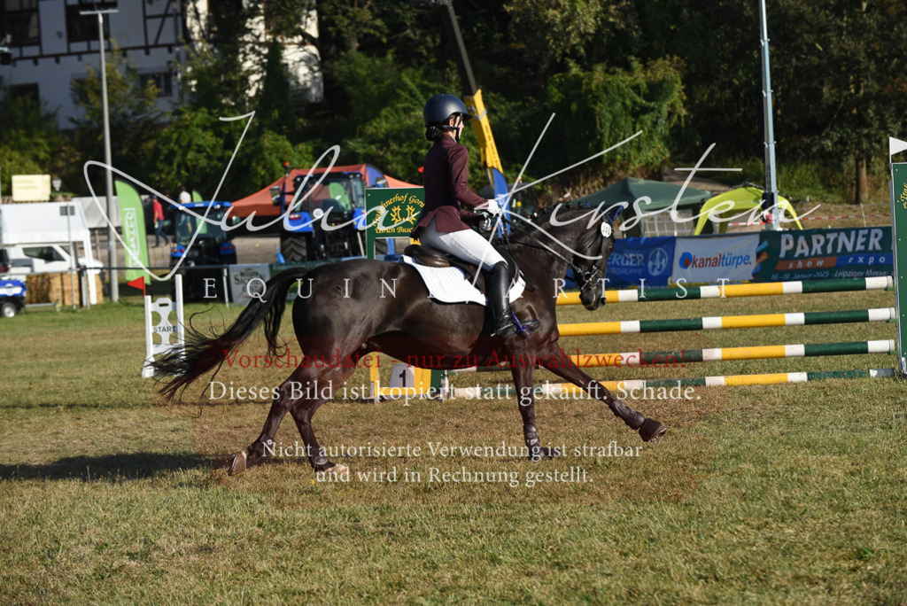 DSC_5076 | Pferde- und Turnierfotografie in Westsachsen. Pferdeportraits, Auftragszeichnungen und intuitive Kunst.